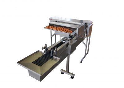 Egg grader with mechanical weighing